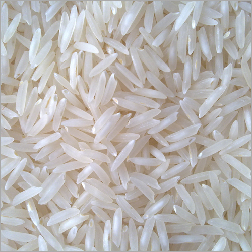 Fresh Basmati Rice