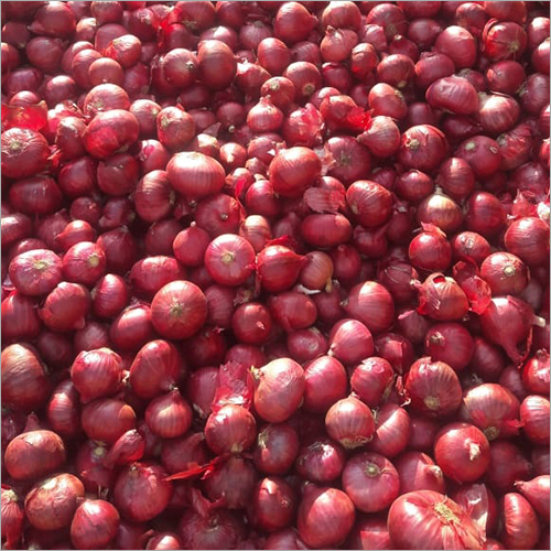 Red Onion