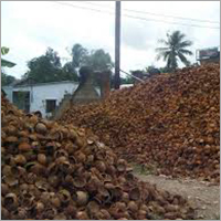 Dry Coconut Shell