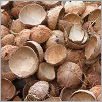 Natural Coconut Shell