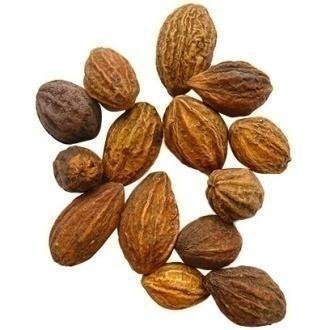 Terminalia Chebula