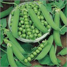 Round Green Peas