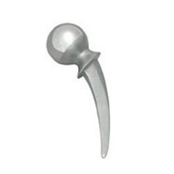 Hip Prosthesis