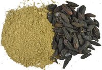 Terminalia Chebula Black