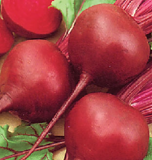 Beetroot