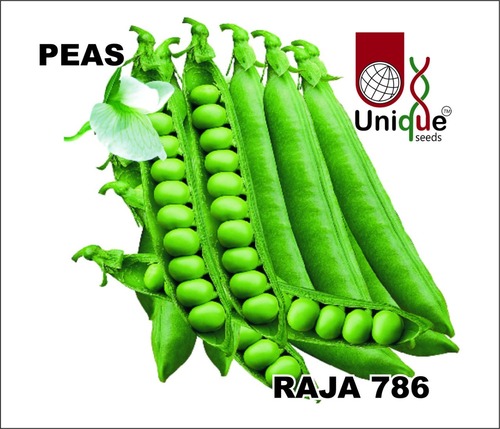 PEAS PEAS