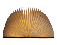 Book Lamp (X1309)