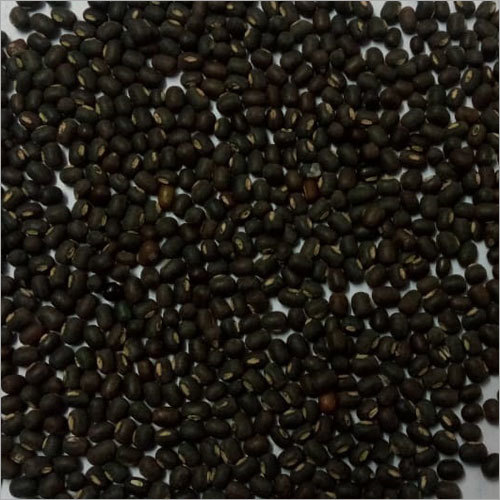 Common Whole Black Urad Dal