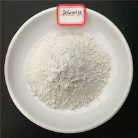 Dolomite Powder Application: Paper