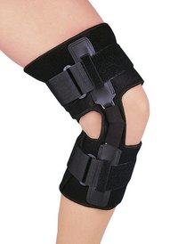 Knee Support with Hinges