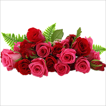 Floriculture