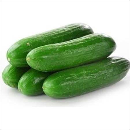 Green Cucumber