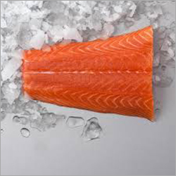 Frozen Salmon Fillet
