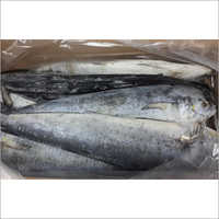 Frozen Mahi Fish Whole