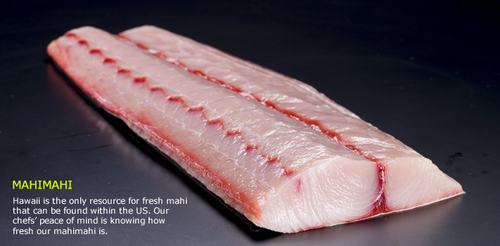 Frozen Mahi Mahi Fish Fillet