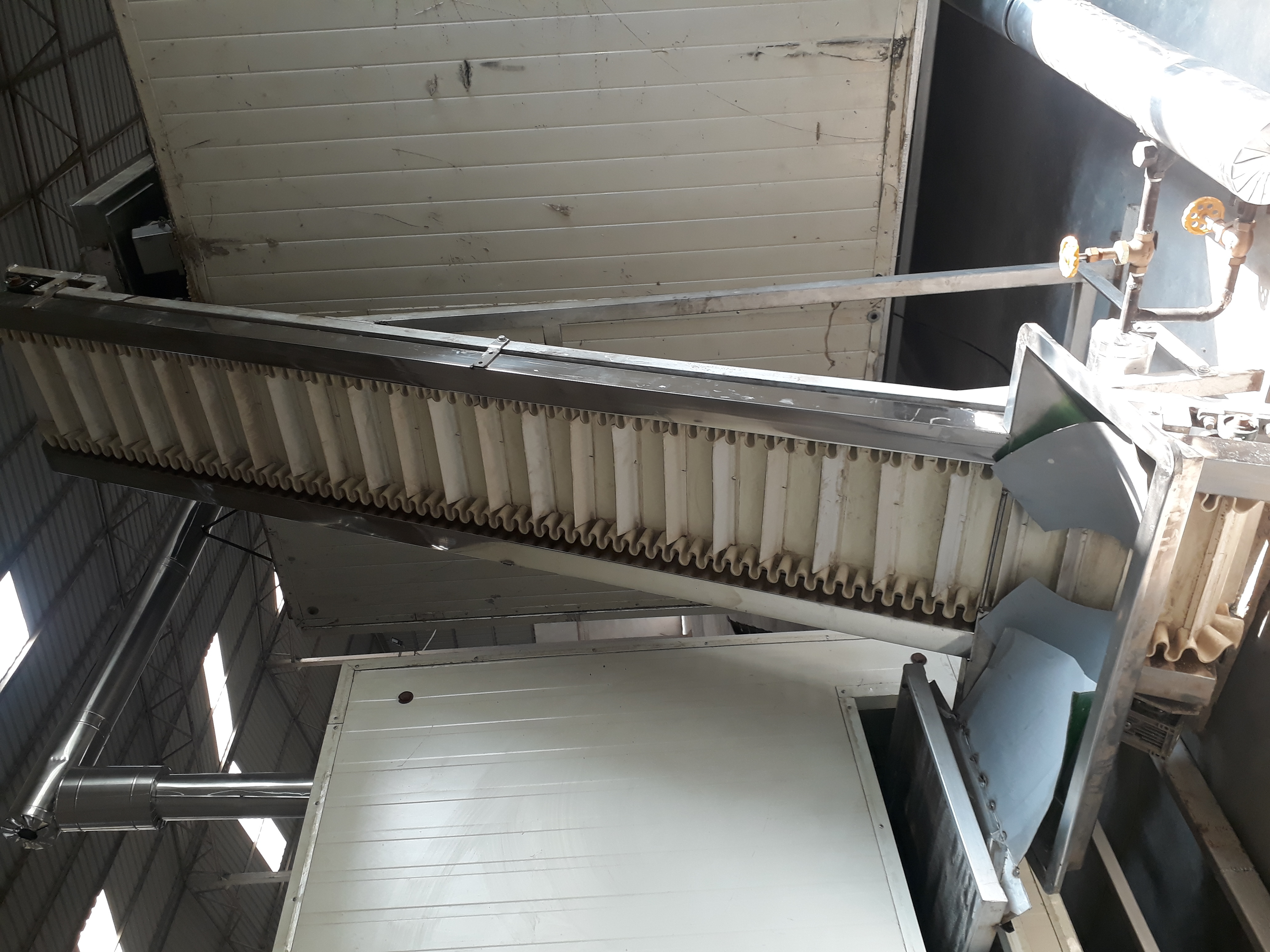 Continuous Dryer 300 kg/h