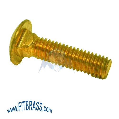 Brass Carriage Bolts