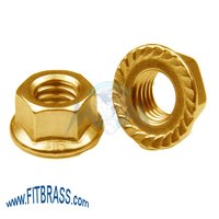 Hex Serrated Flange Nut
