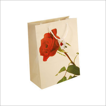 Printed Paper Carry Bag