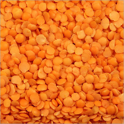 Common Masoor Dal