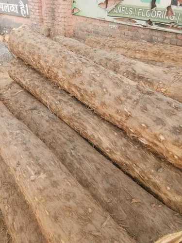Popular Wood Logs