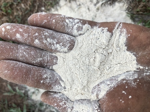 White wood powder