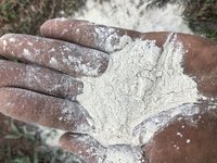 White Wood Powder