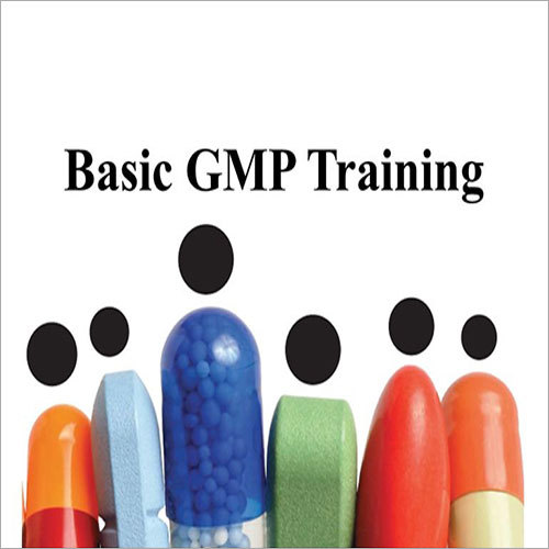 Industrial GMP Training Service