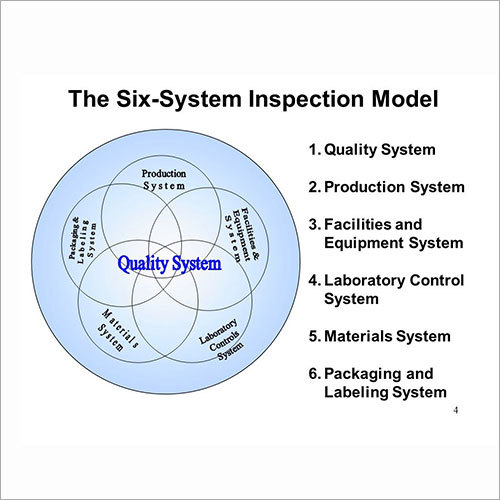 Quality Management System Services