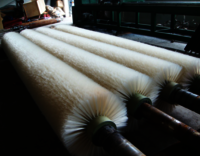 Nylon Brush Roller