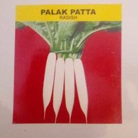 Palak patta