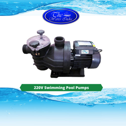 Galvanized Steel 220V Swimming Pool Pumps