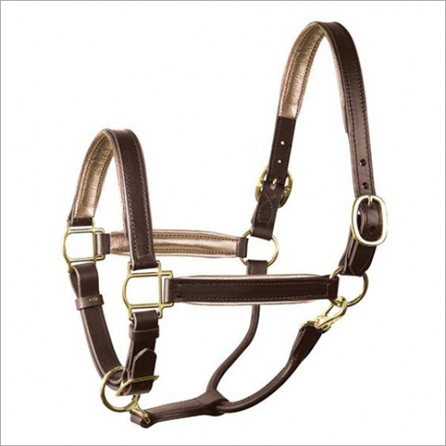 Horse Brown Leather Halter Horse Brown Leather Halter