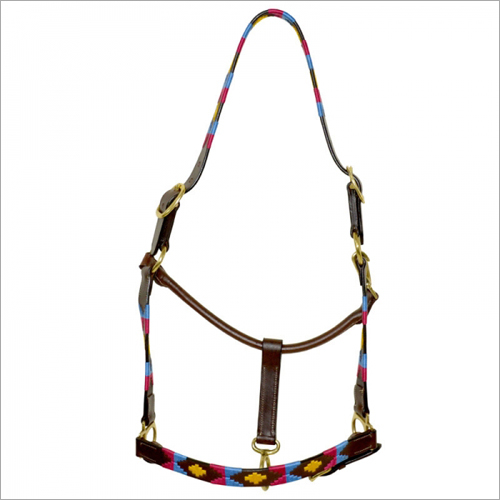 Horse Fancy Halter Horse Fancy Halter