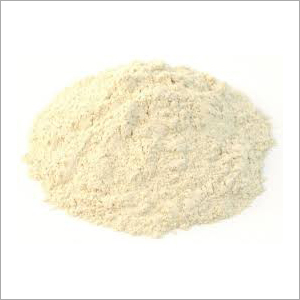 Asparagus Racemosus - Fine Powder Form, Herbal Ingredients for Men & Women | Supports Fertility, Vitality, Hormonal Balance & Immune System, 3-Year Shelf Life