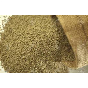 Carum Copticum Ingredients: Herbs