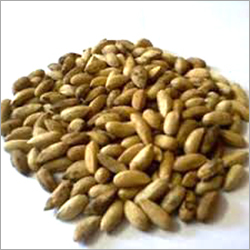 Herbal Product Neem Seed