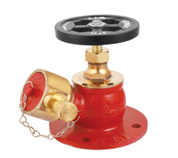 Fire Hydrant Valve