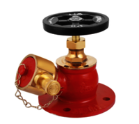 Fire Hydrant Valve