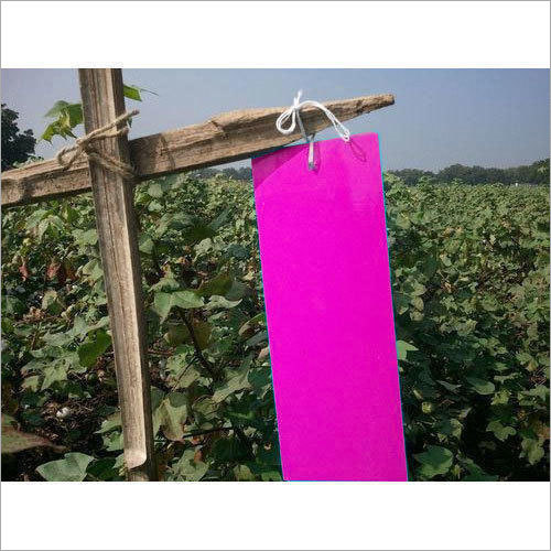 Insect Pink Sticky Trap