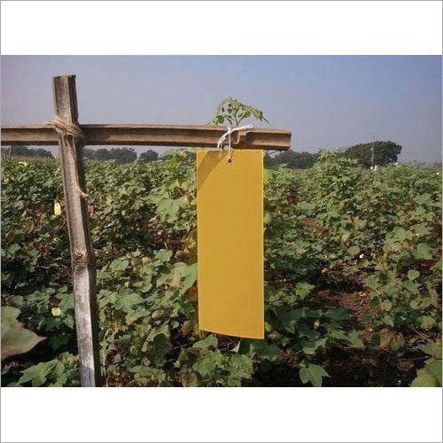 Agricultural Yellow Sticky Trap