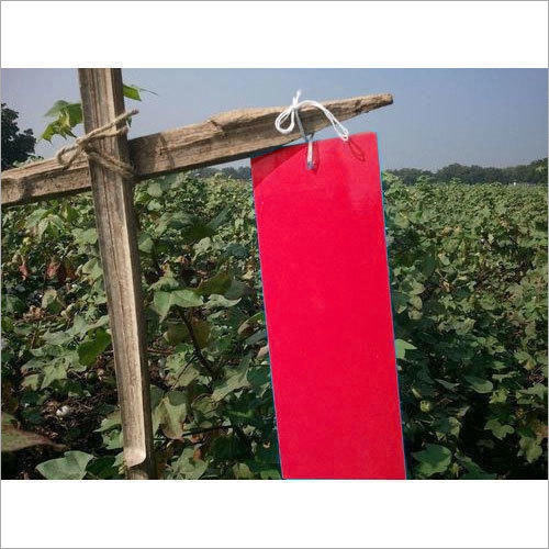Agricultural Sticky Trap