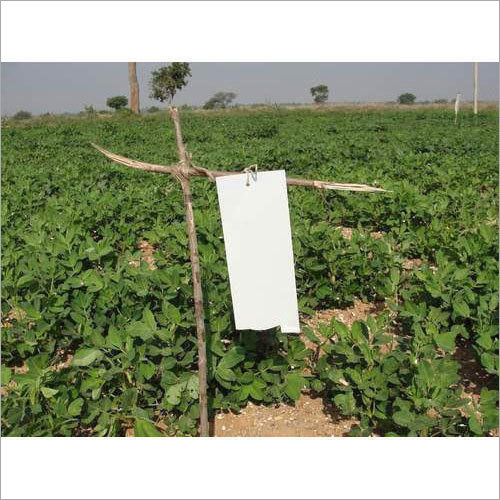 Agricultural White Sticky Insect Trap