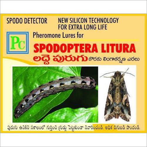 Pheromone Lure For Spodoptera Litura