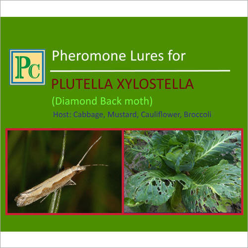 Pheromone Lures For Plutella Xylostella