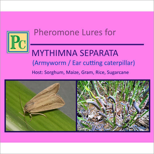 Pheromone Lures For Mythimna Separata
