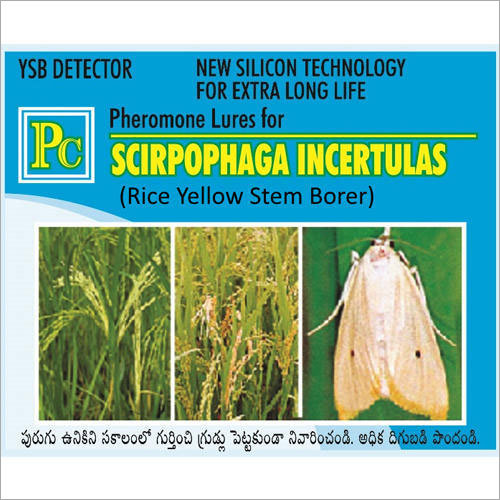 Pheromone Lures For Scirpophaga Incertulas - Blue Sachet, 12 Months Shelf Life | Pest Control, Early Detection, Crop Protection, Yield Increase