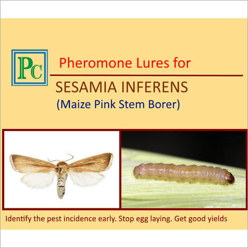 Pheromone Lures For Sesamia Inferens