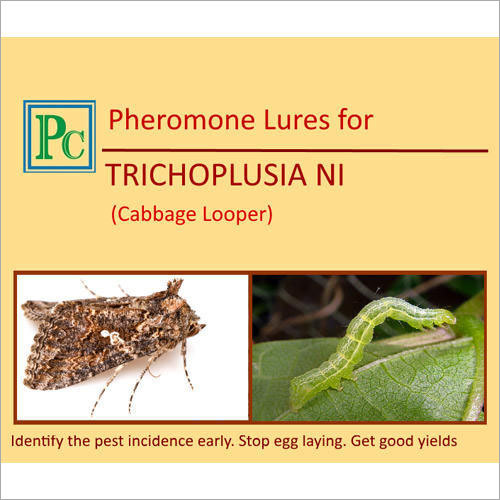 Pheromone Lures For Trichoplusia Ni