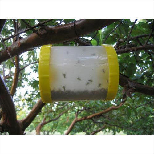 Fruit Fly Insect Trap